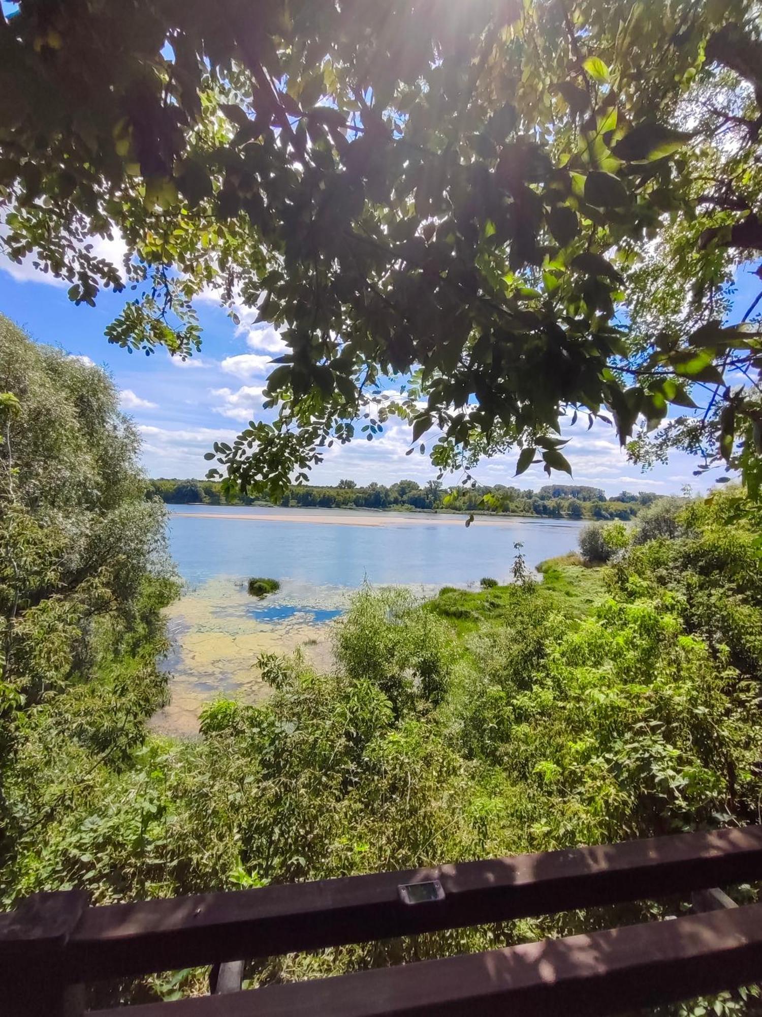 Winnica 34 nad Wisłą 2 Stary Toruń Zewnętrze zdjęcie